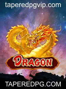 Dragon: Uma Jornada Épica no Mundo dos Jogos